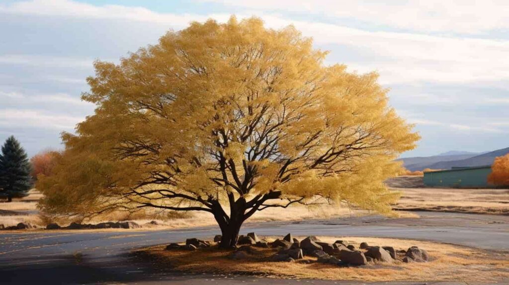 meditation-learn-six-different-styles-to-find-out